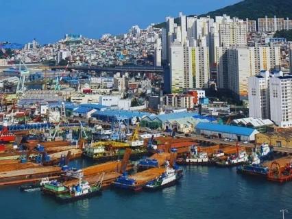 Импорт филлеров из Кореи на склад Ozon с сертификацией